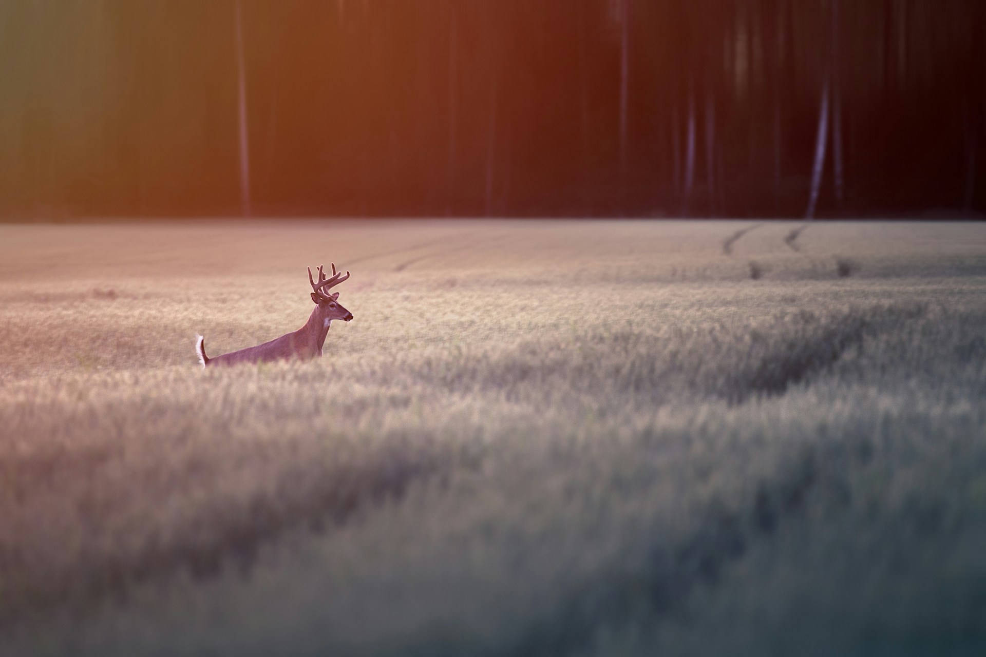 Kalender und Notizbuch